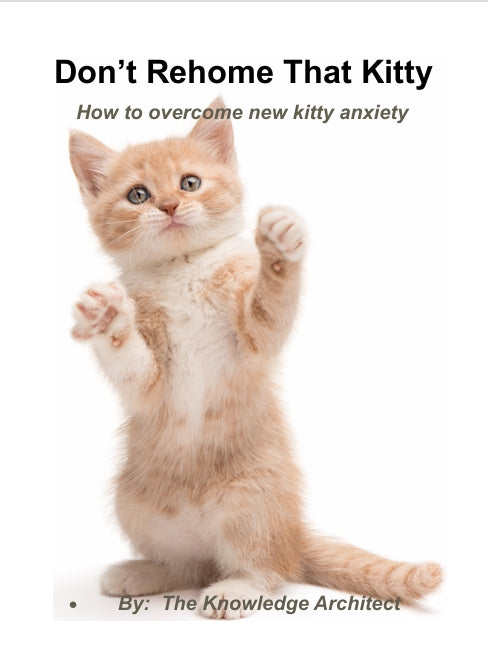 Don’t Rehome That Kitty How To Overcome New Cat Anxiety